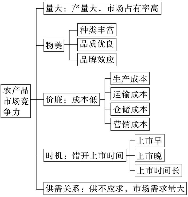 二轮微专题22 市场竞争力不朽情缘正版2025高考地理(图2)